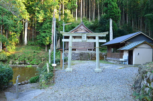 DSC_4335.JPG