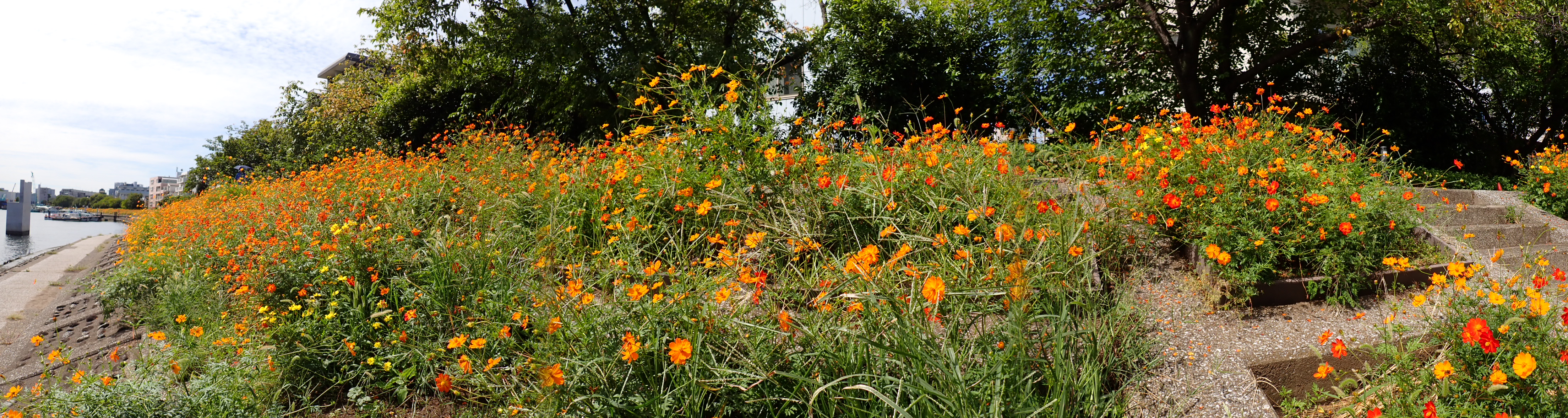 PA021032.JPG