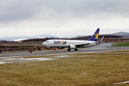 SKYB737_2.JPG