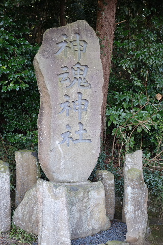 DSC03662.JPG
