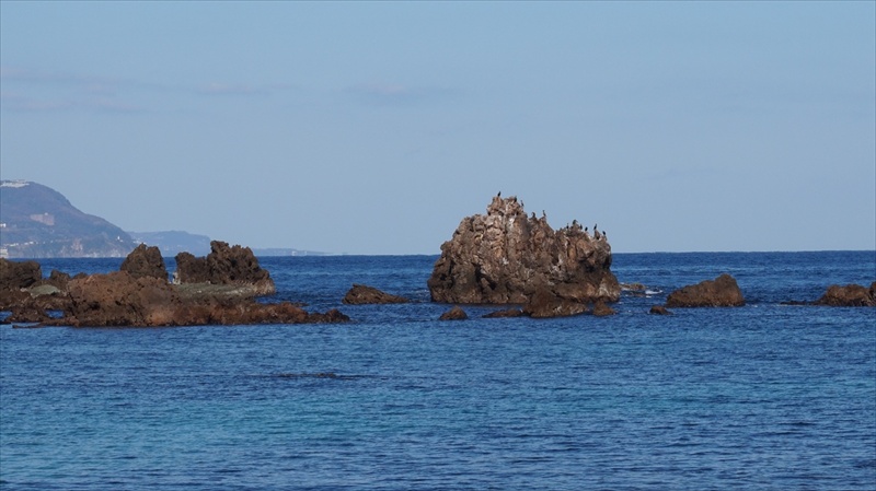 20150108 13291401.JPG