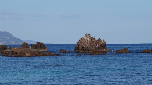 20150108 13291401.JPG