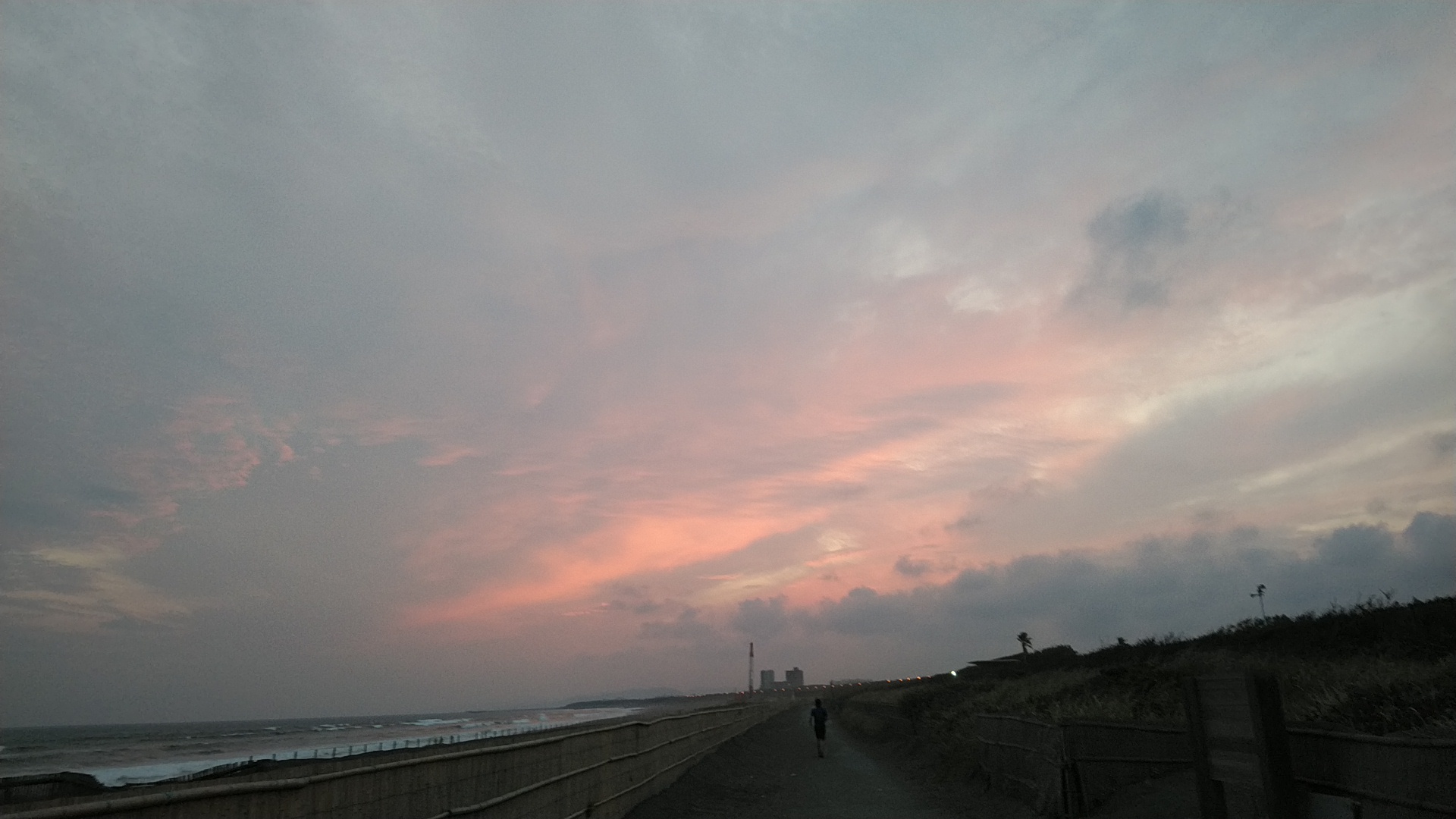 20190825  DSC_0003.jpg.jpg