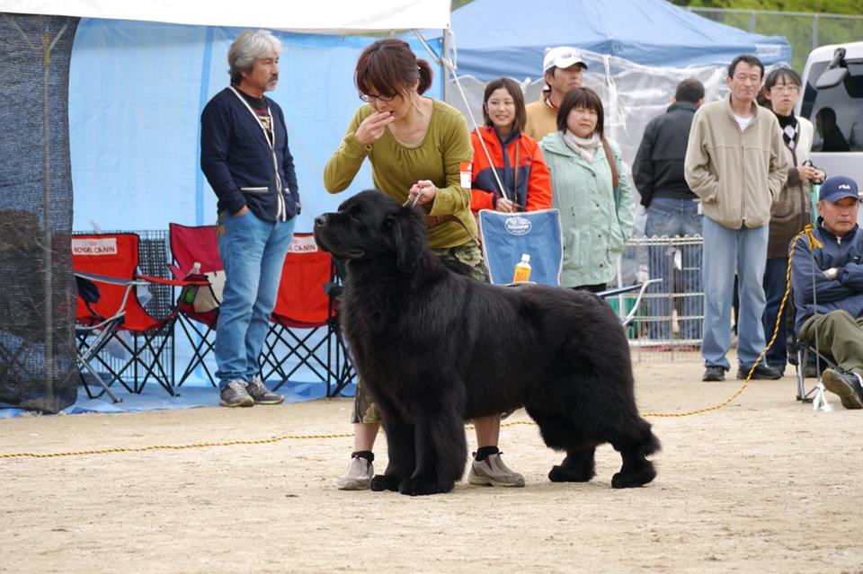 松吾郎.jpg
