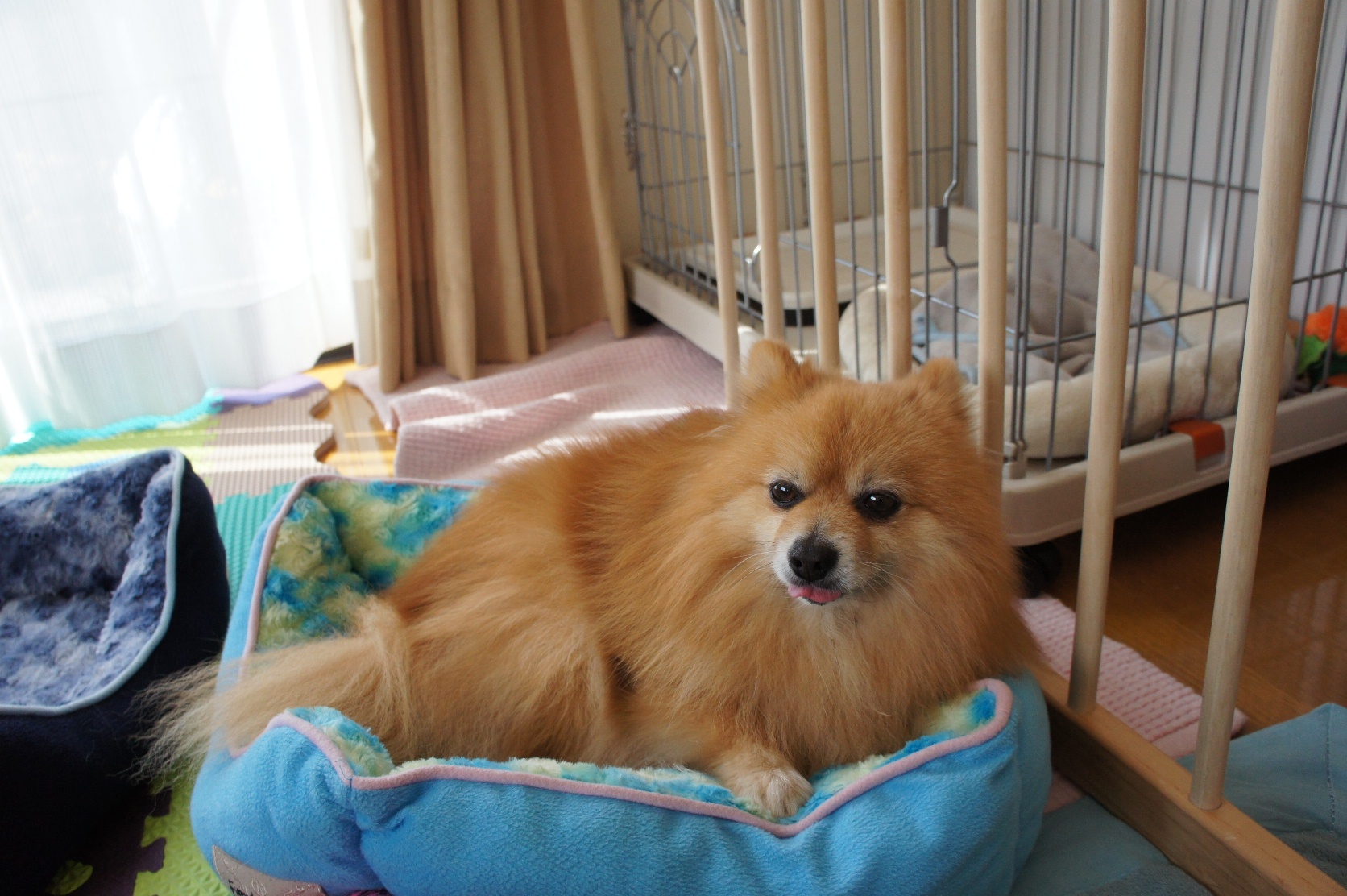 DSC08242.JPG