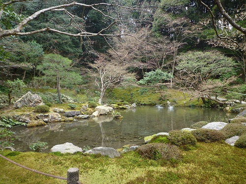 P1020875.jpg