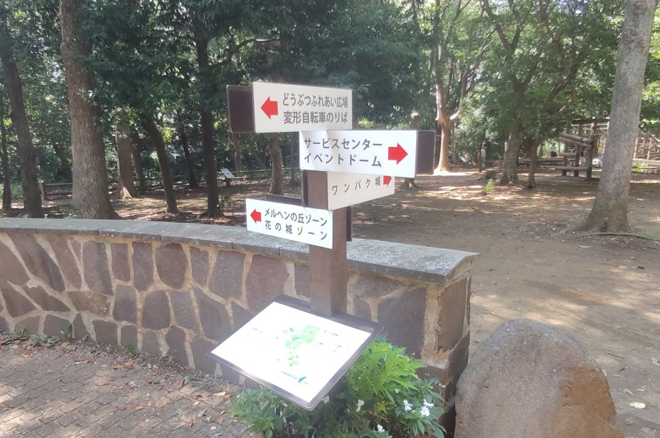 250804124555700.JPG