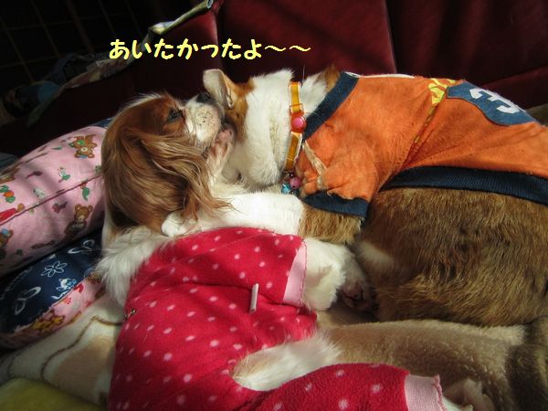 はくば９.jpg