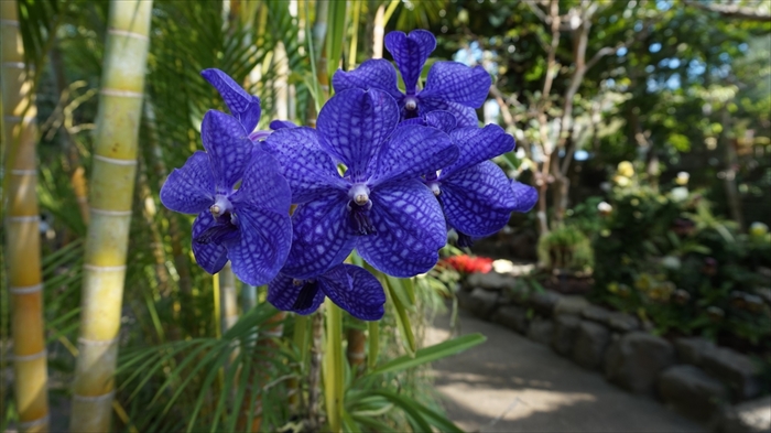 20160127 11091001.JPG