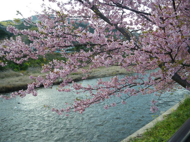 IMGP0010.JPG