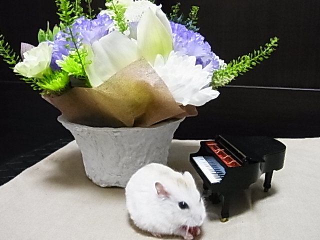 2014_07170010.JPG