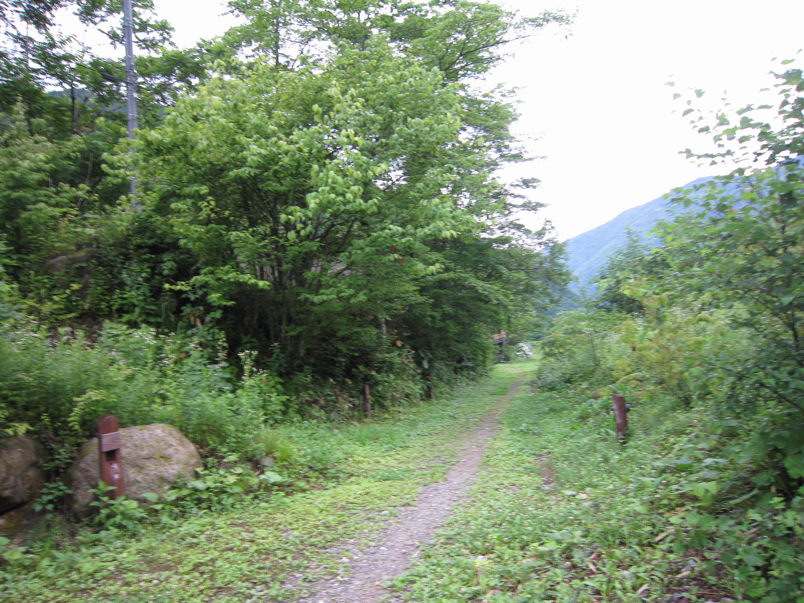 009.JPG