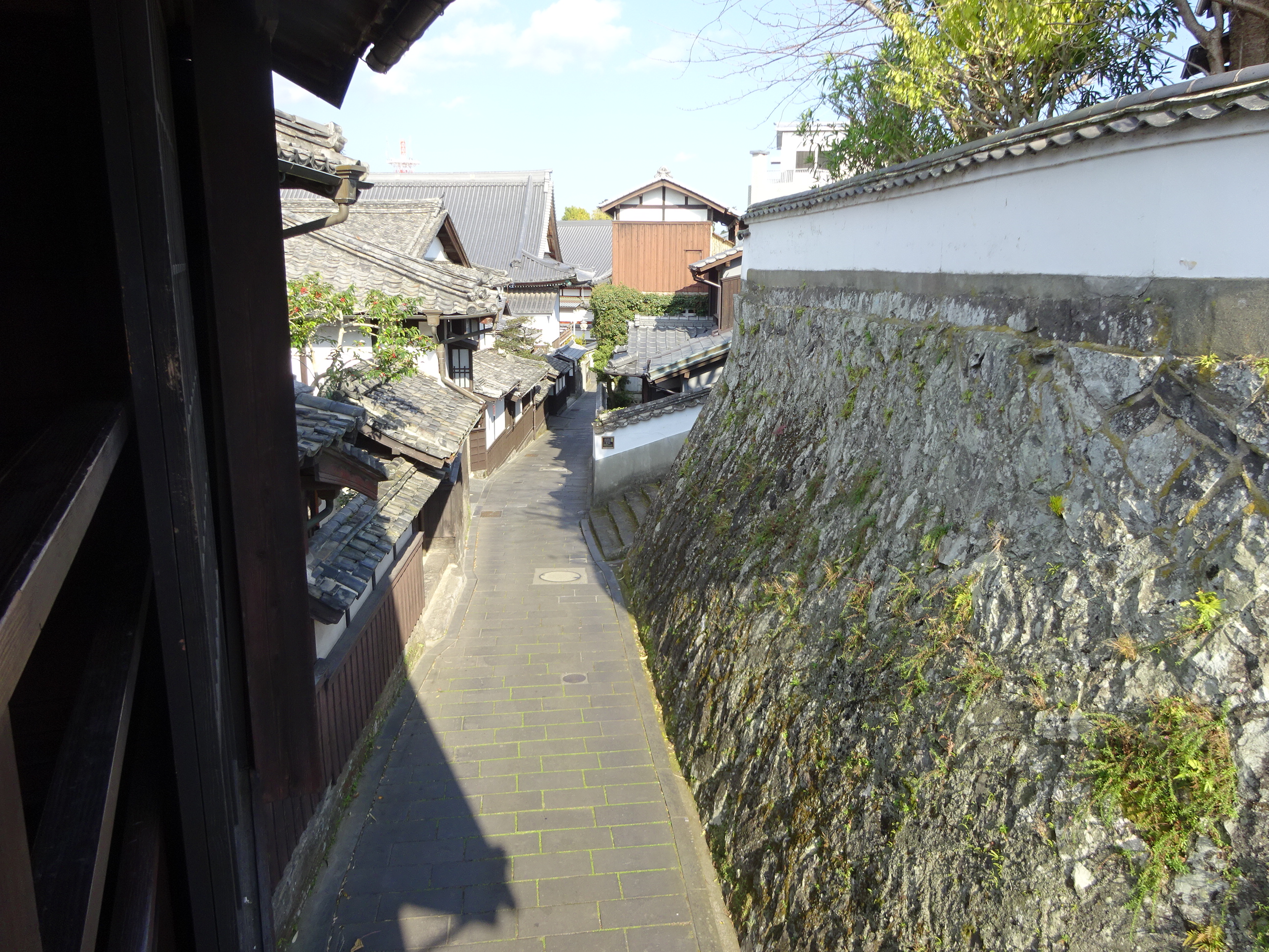 DSC01962.JPG