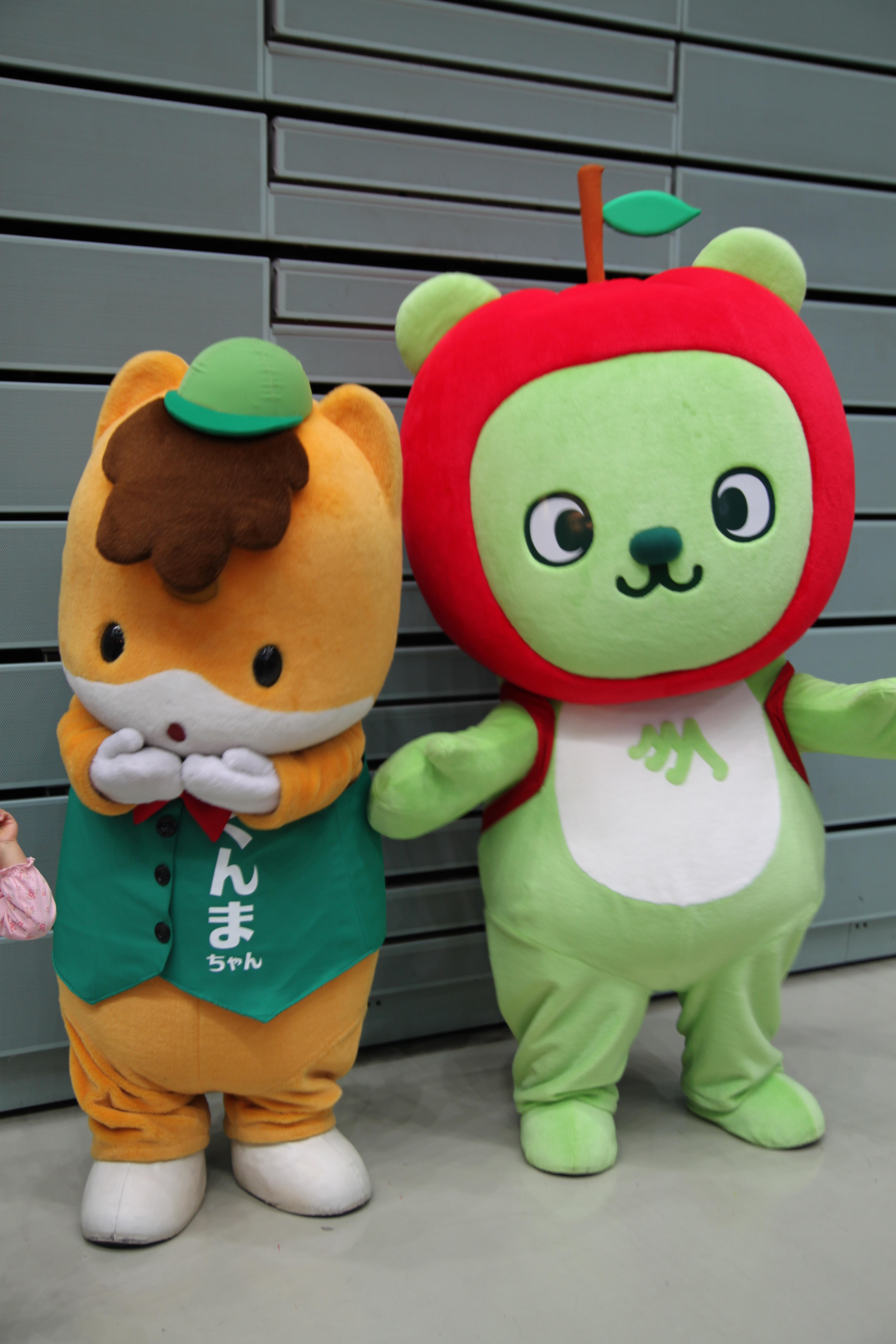 長野県観光ＰＲキャラクターの「アルクマ」と群馬県のマスコット「ぐんまちゃん」