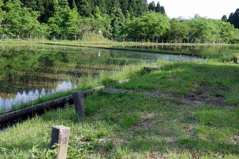 H41A0408.JPG