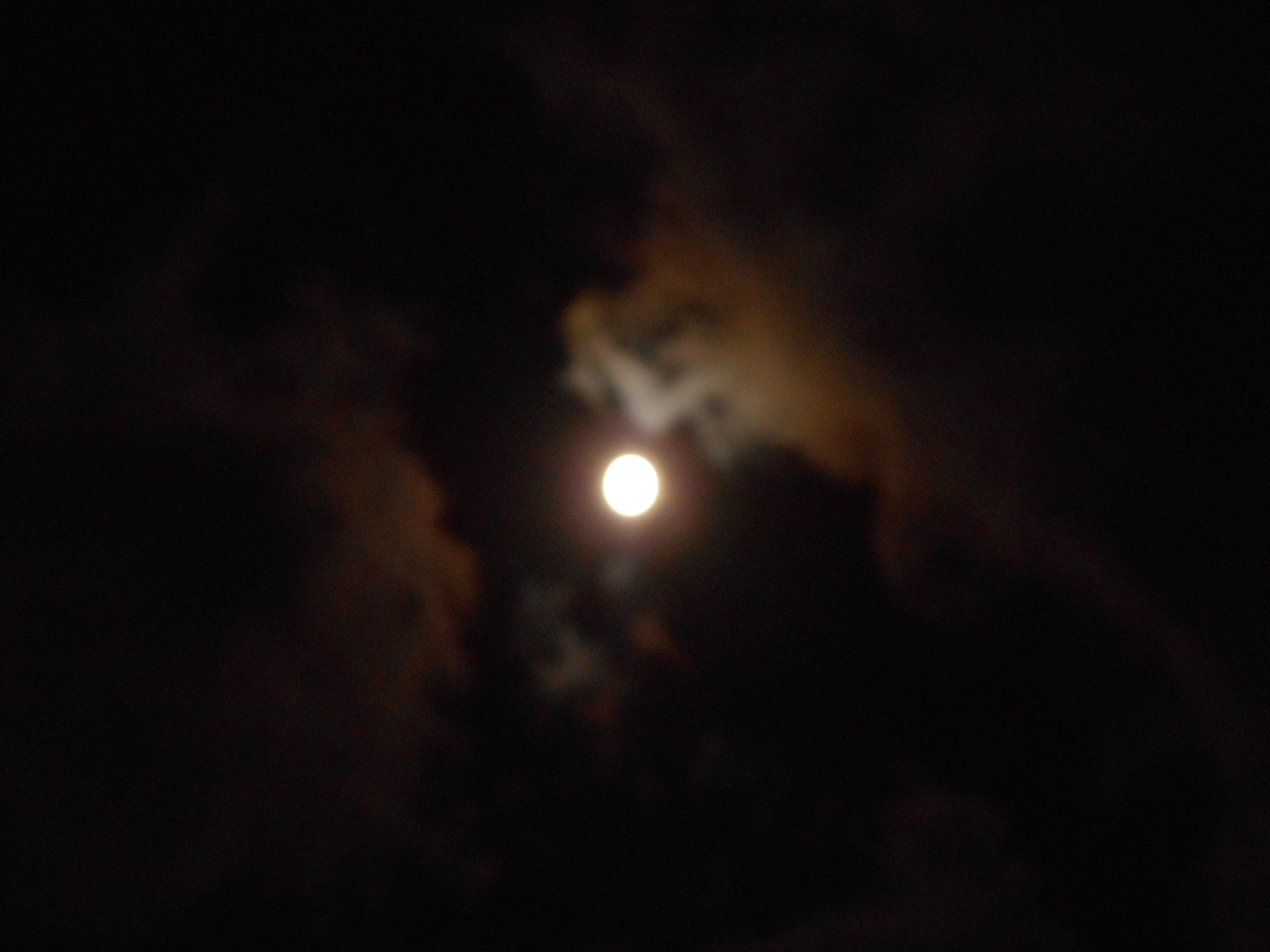2013-10-17　十三夜.JPG