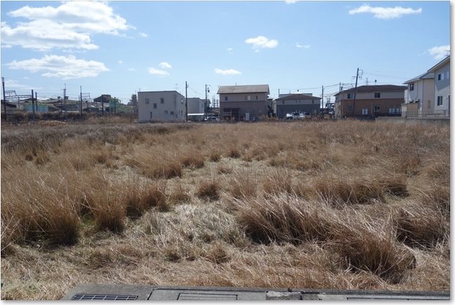 65荒地につきあたり