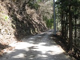 IMG_1301.JPG