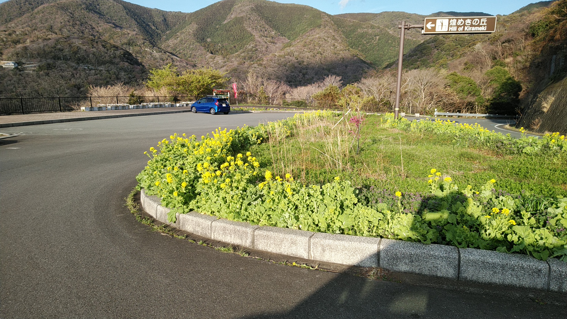 20190309  DSC_0015.jpg.jpg