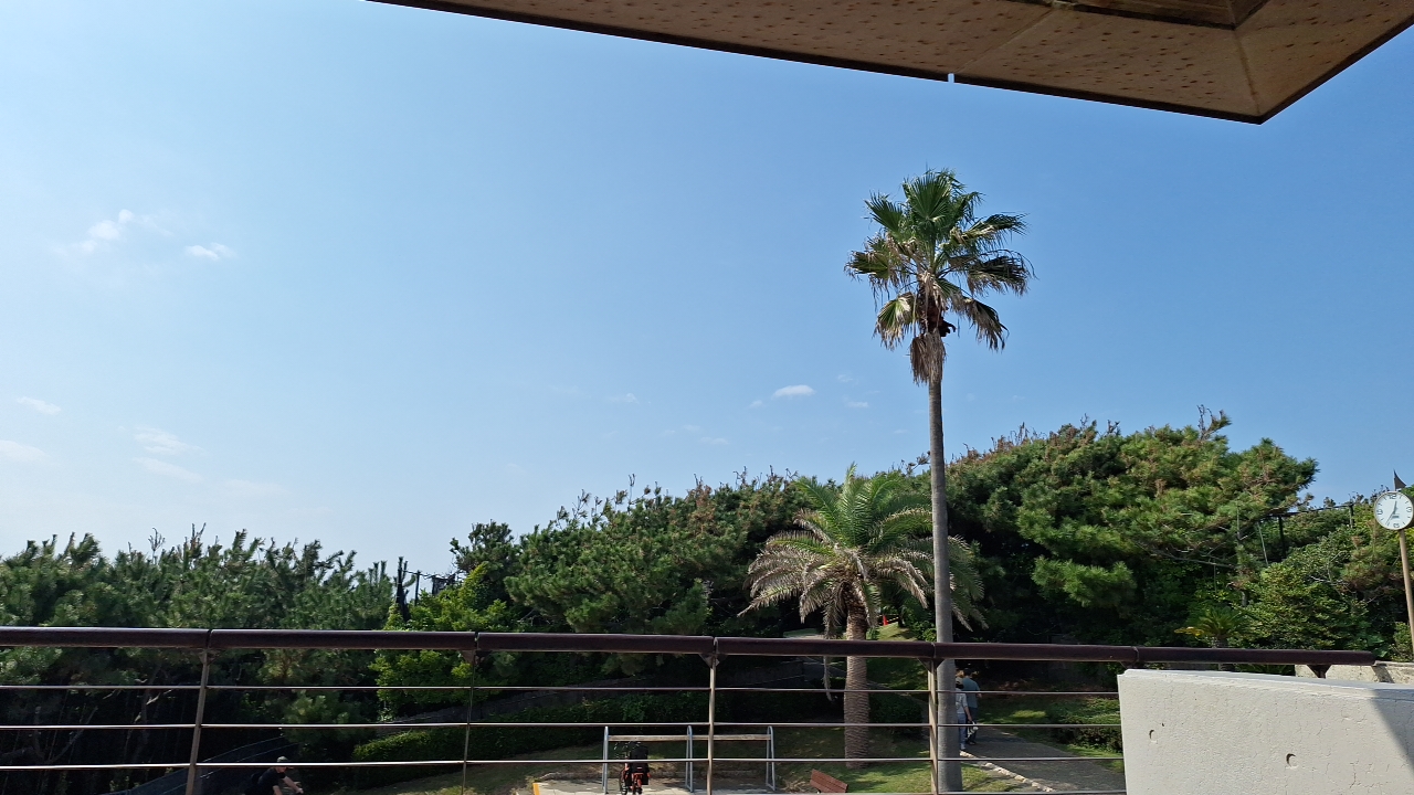 IMG_20250927_133806.jpg