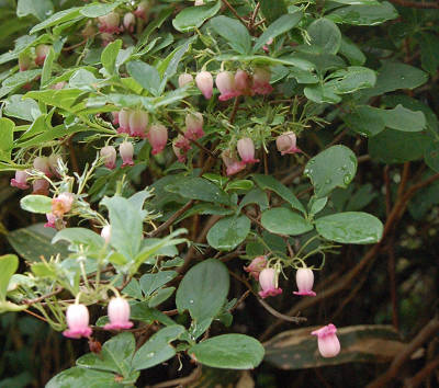 9.13  ウラジオヨウラクs.jpg