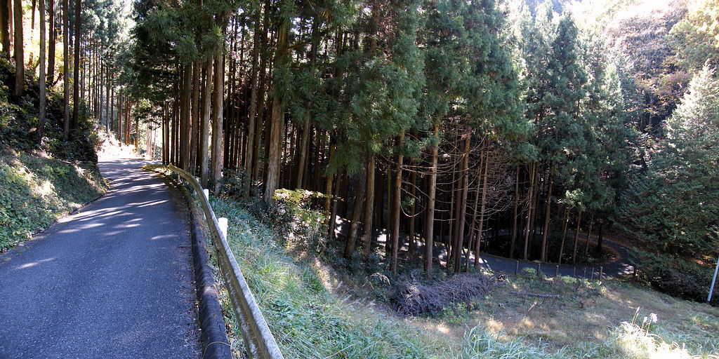 双沢林道2_1024a_AddExif.jpg