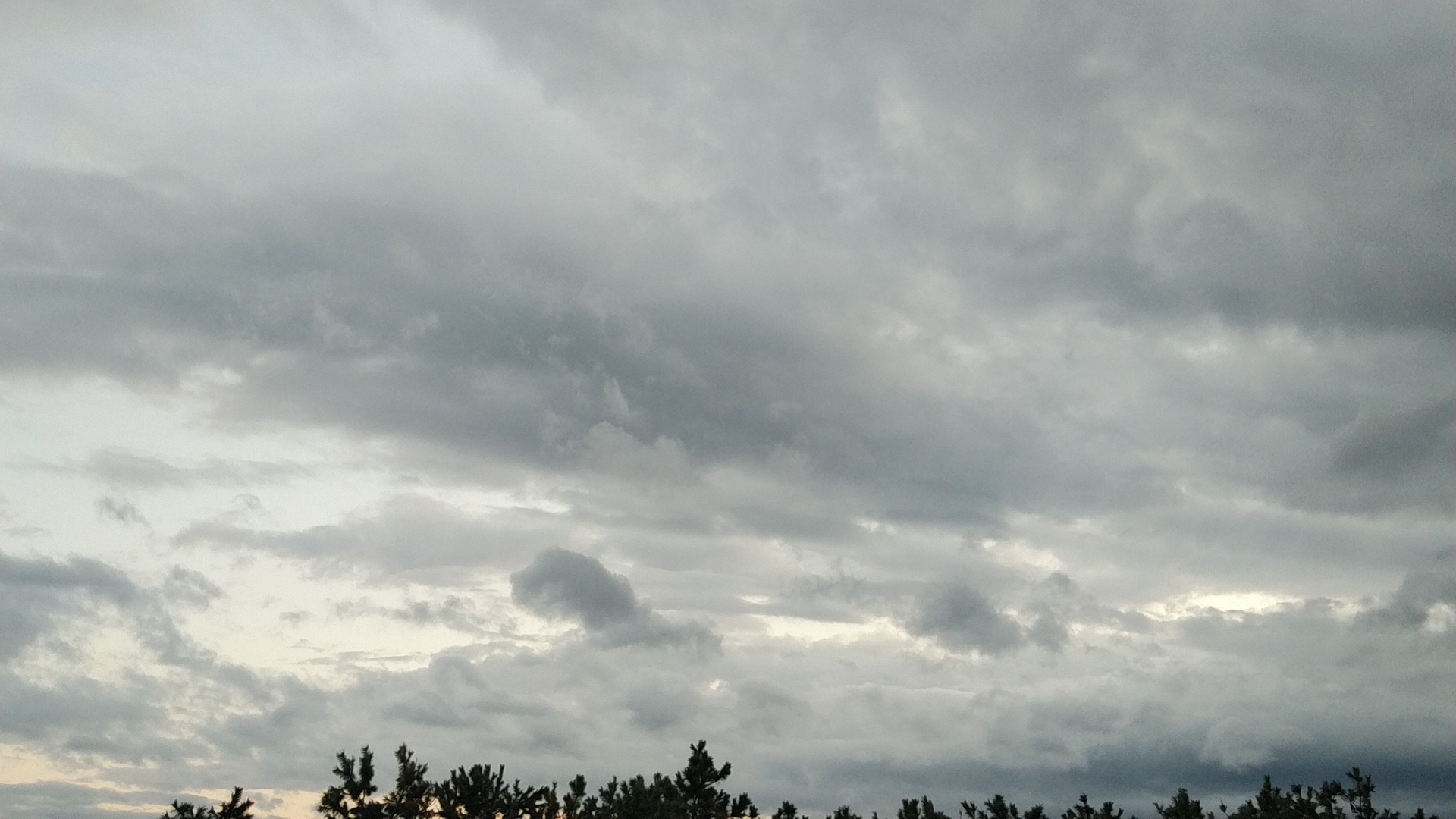 20191025  DSC_0004.jpg.jpg