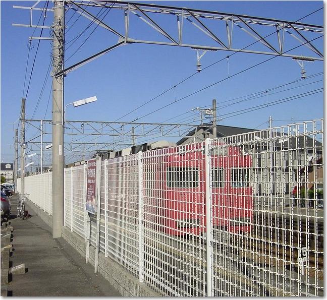 03フェンス越しに.JPG