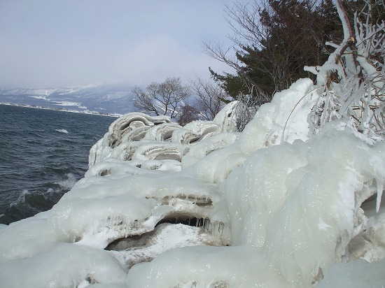 DSCF4601.jpg