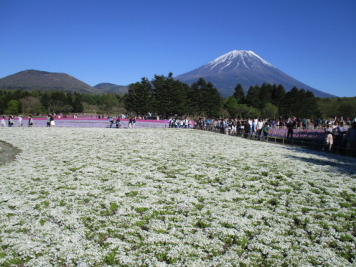 モンブランと富士山