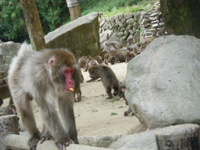 帰ってきたベンツ (3).JPG