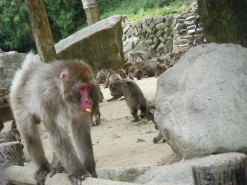 帰ってきたベンツ (3).JPG
