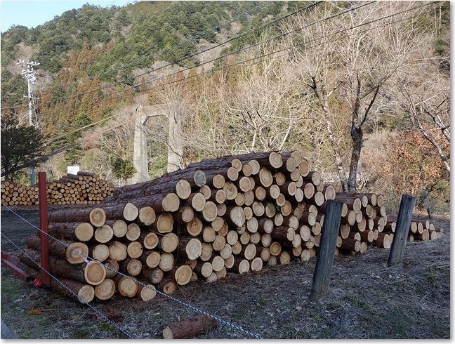 49積まれた丸太