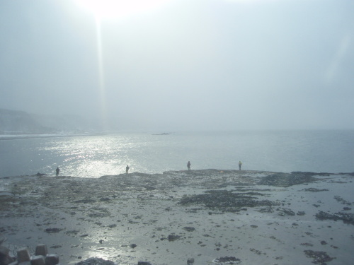 札幌・恵庭あれこれ 022.jpg