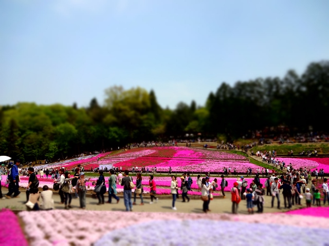 DSC01370 (640x480).jpg