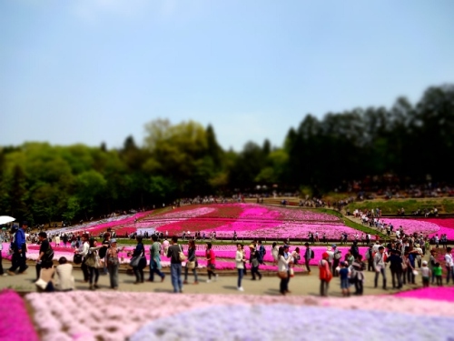 DSC01370 (640x480).jpg