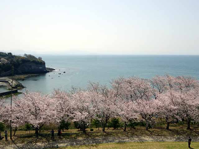 杵築・粟島公園 (32).JPG