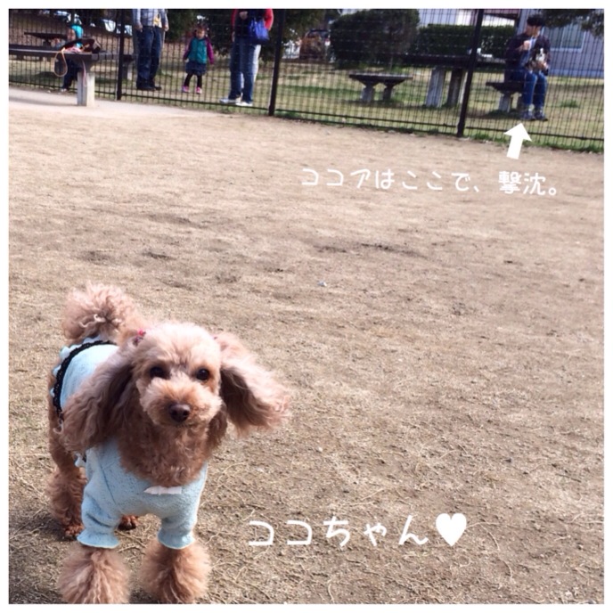 201403231150_6217_iphone.jpg