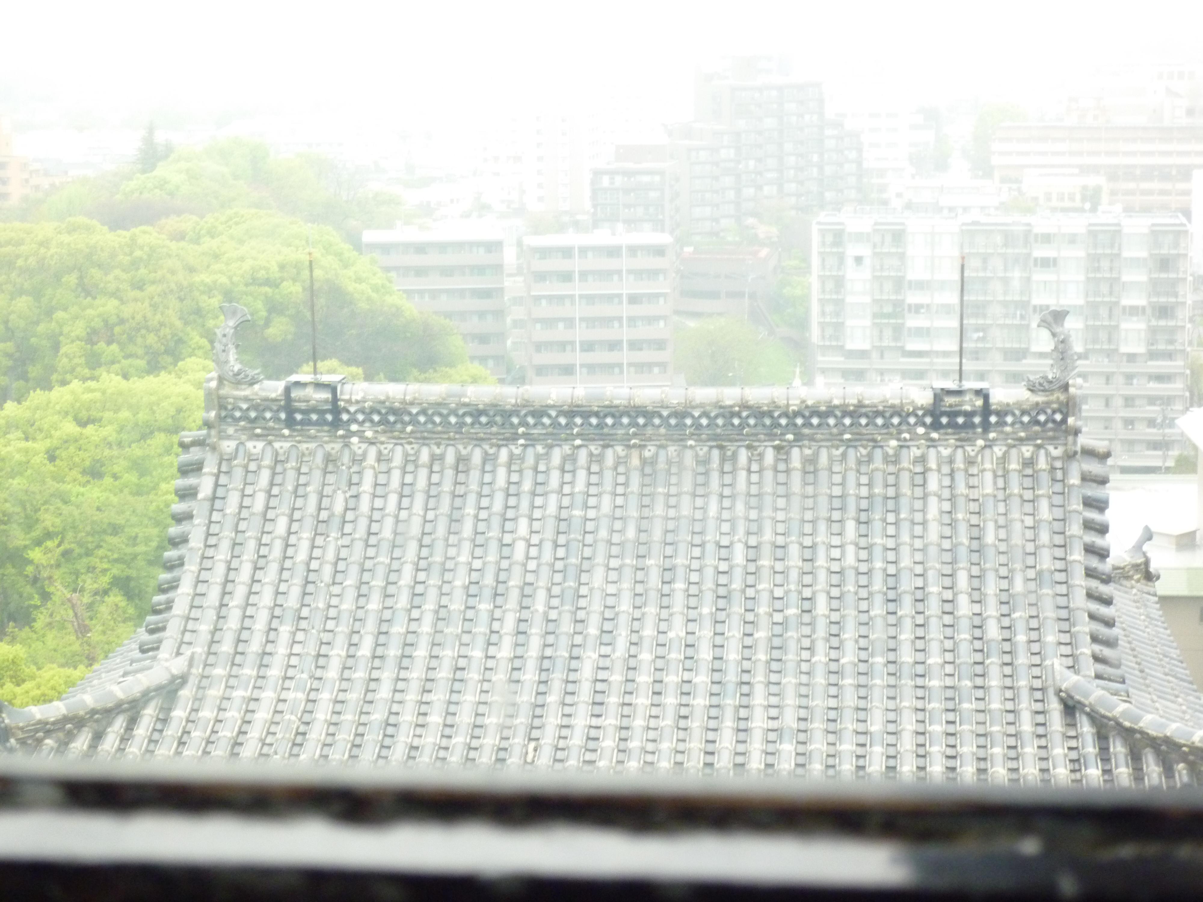 P1150789.JPG