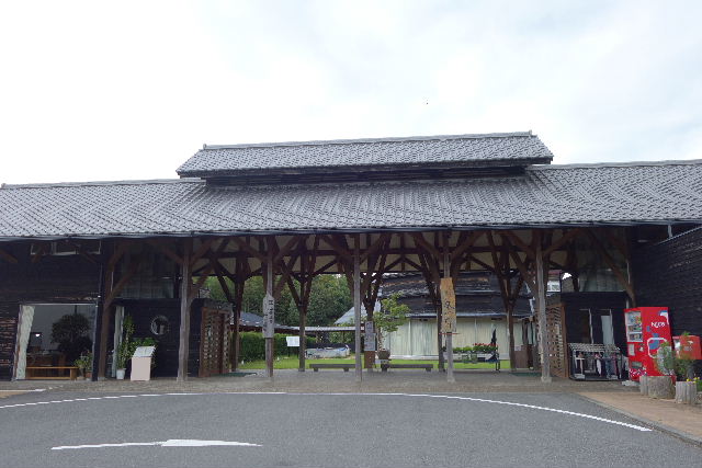 DSC03230.JPG