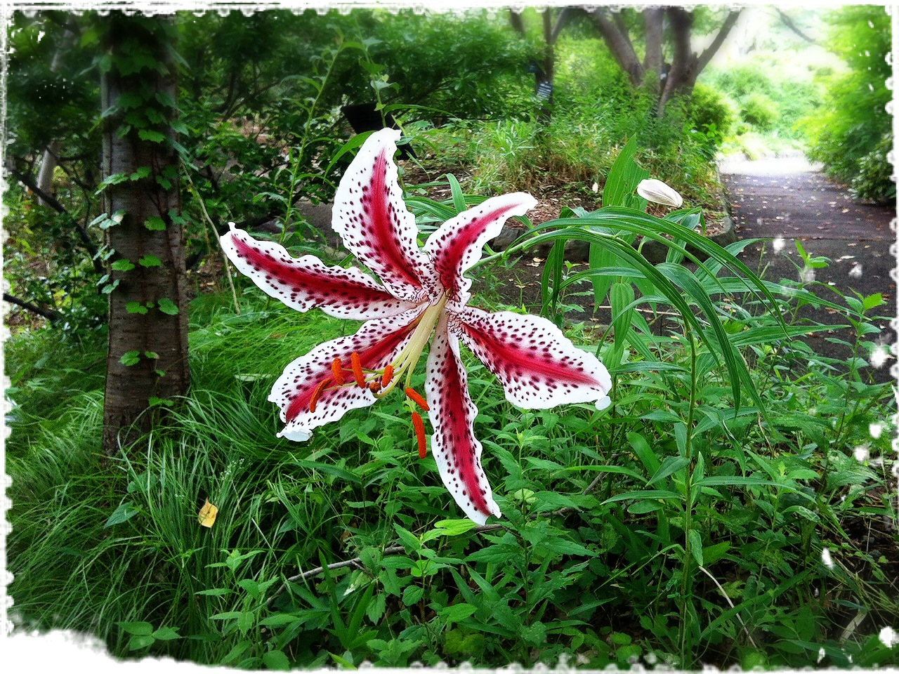 201407062007_3579_iphone.jpg