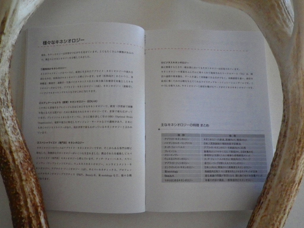 IMGP0956.jpg