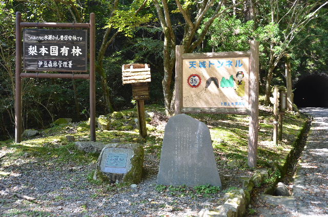 DSC_4612.JPG