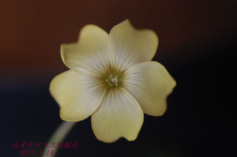 DSC_5980.JPG