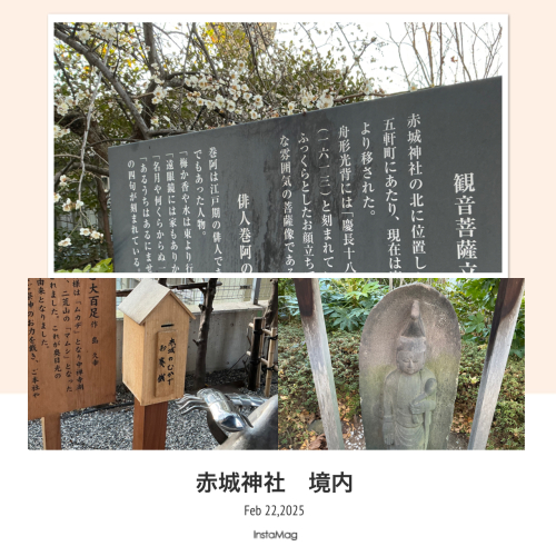 IMG_6834.jpeg