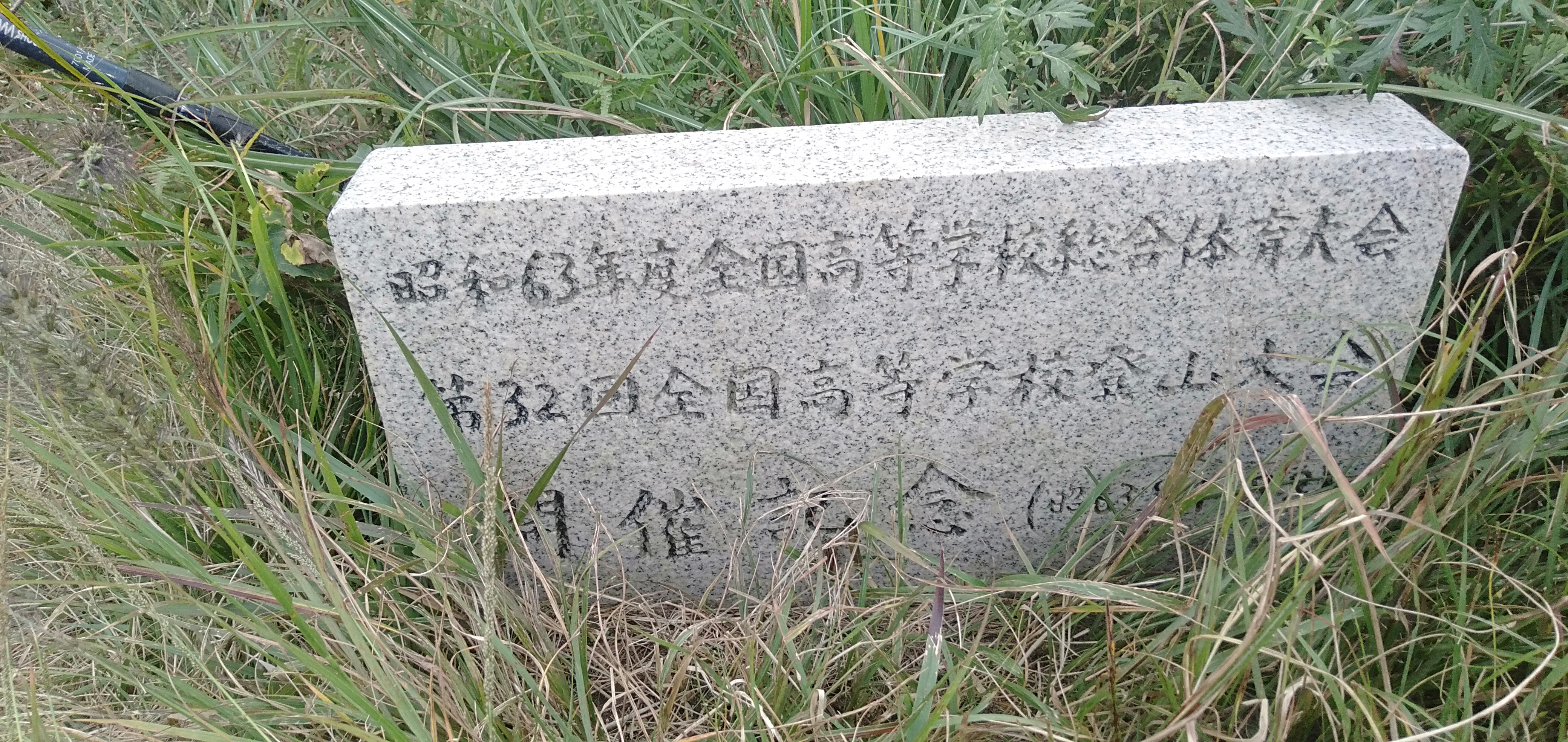 IMG20211011140041.jpg