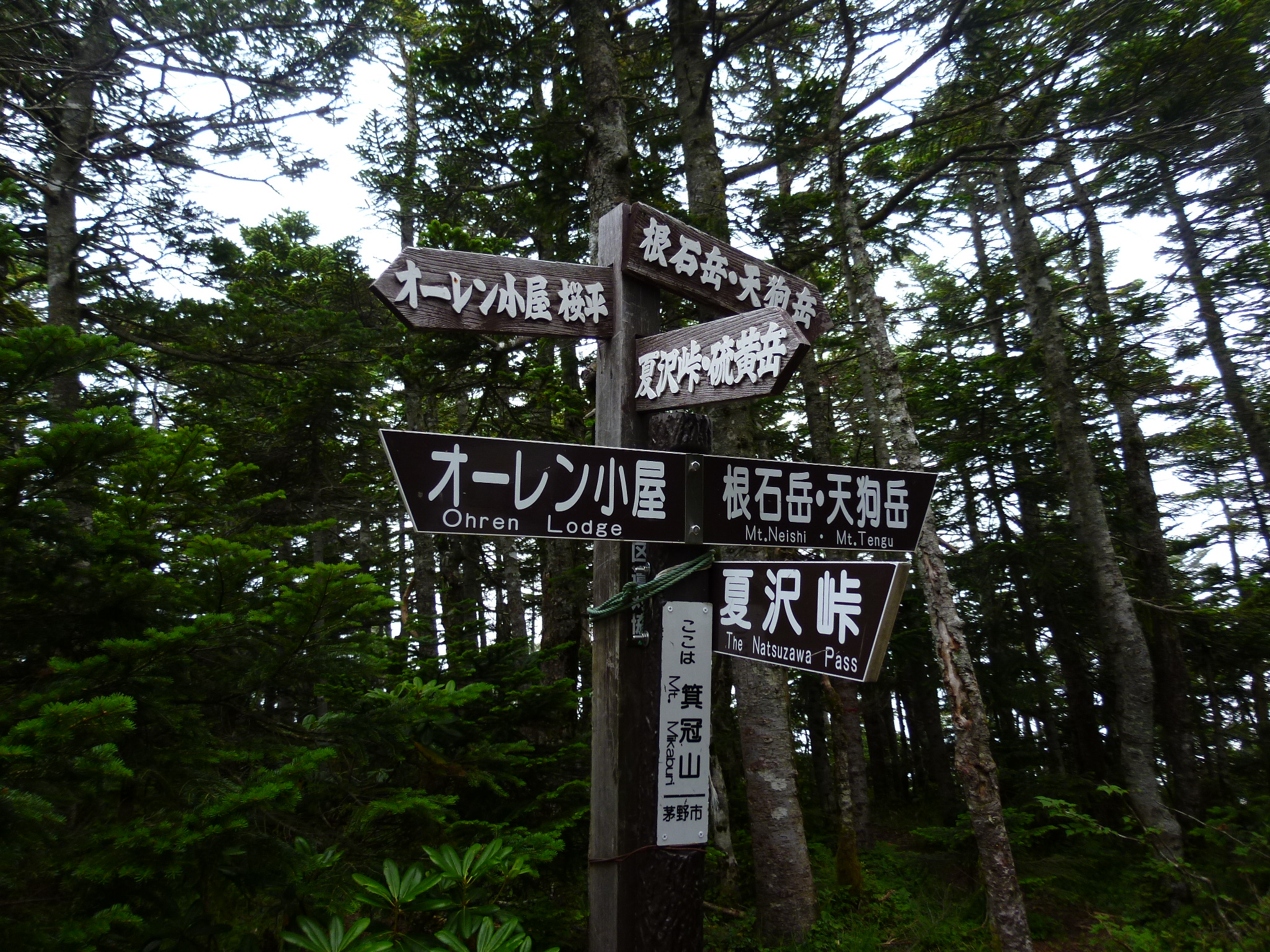 P1030378.JPG