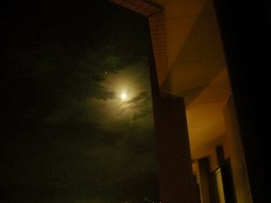 DSCN4813 (300x225).jpg