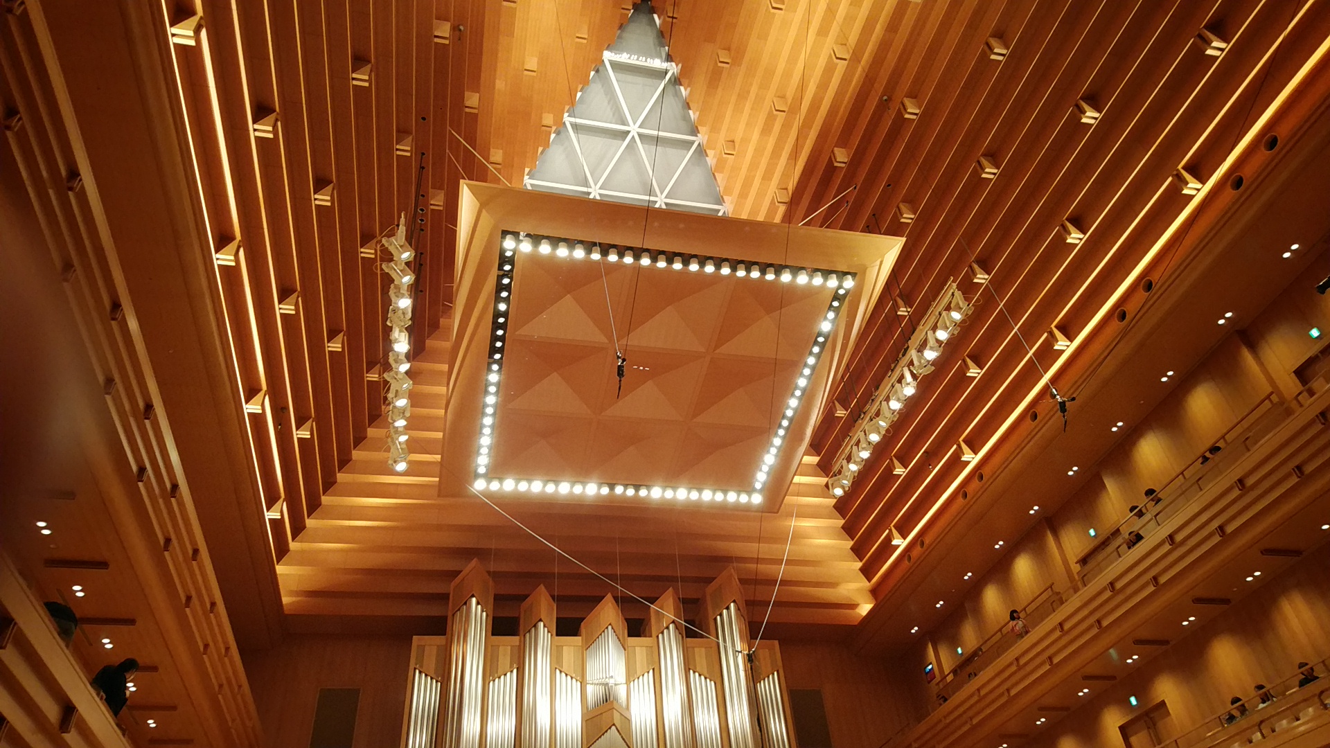 20191027  DSC_0004.jpg.jpg