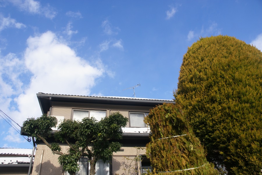 DSC00861.JPG